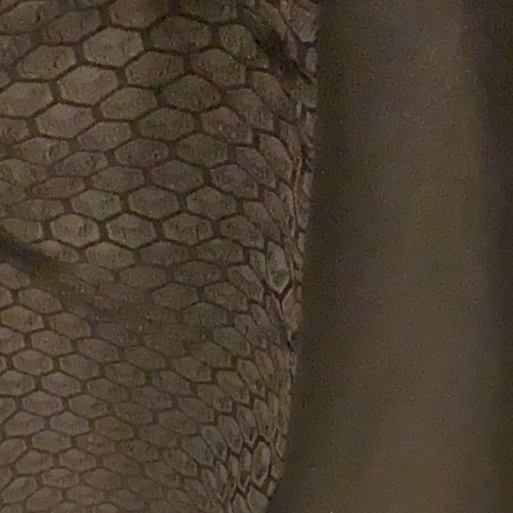 Black pencil skirt with pattern - Picture 2 of 2